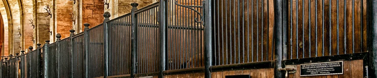 Building a Premier Equine Boarding Facility: Key Considerations for Success