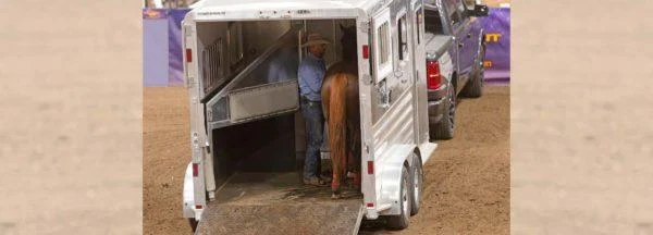 Conquering Trailer Anxiety: Expert Strategies for a Calm and Secure Horse Transport