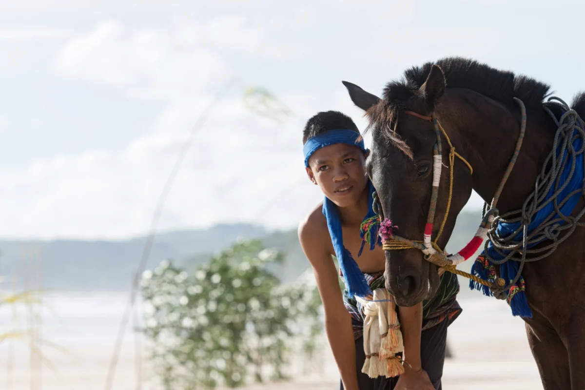 Discover Your Dream Equine Adventure: A Comprehensive Guide to Choosing the Perfect Horse Riding Holiday