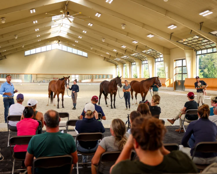 Friday News & Notes from Stable View – Eventing Nation – Three-Day Eventing News, Results, Videos, and Commentary
