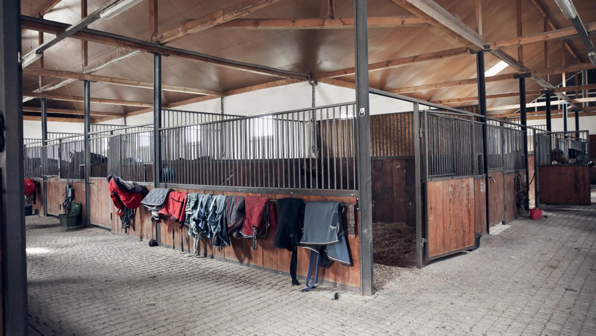 Navigating the Complexities of Specialist Insurance for Equestrian Yard Owners