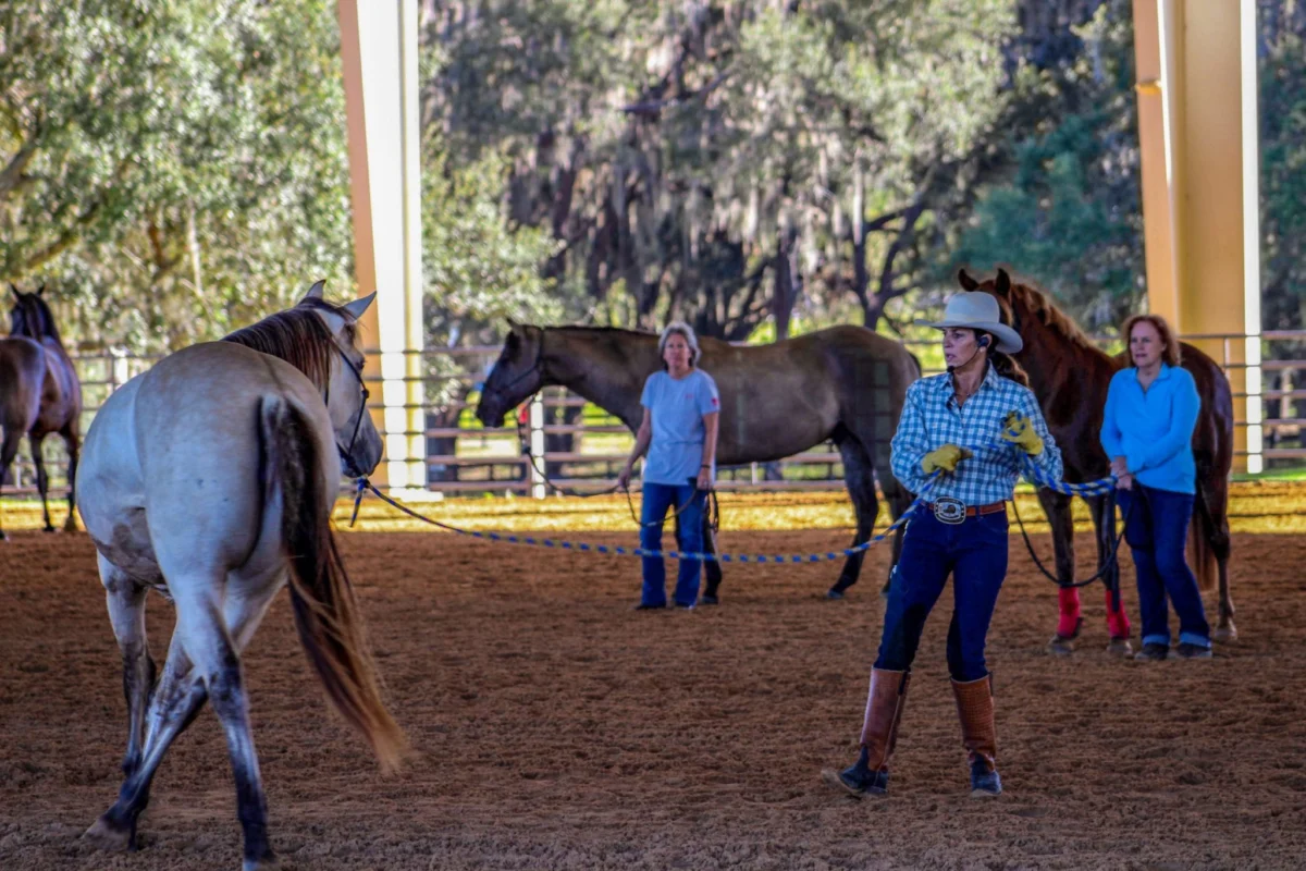 Navigating the Mighty Mississippi: A Journey Through Locks, Barges, and Economic Arteries