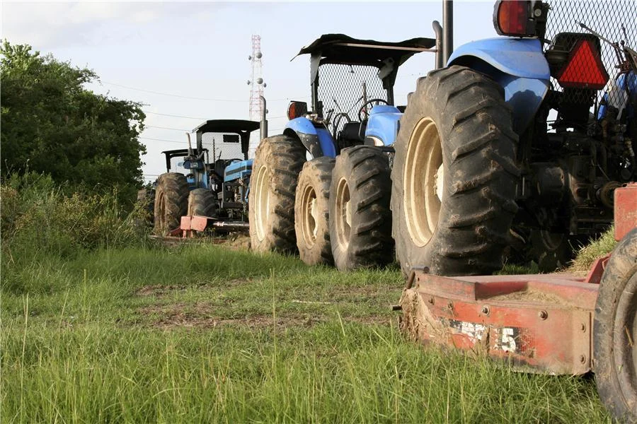 Pasture Perfection: Essential Strategies for Optimal Equine Field Management