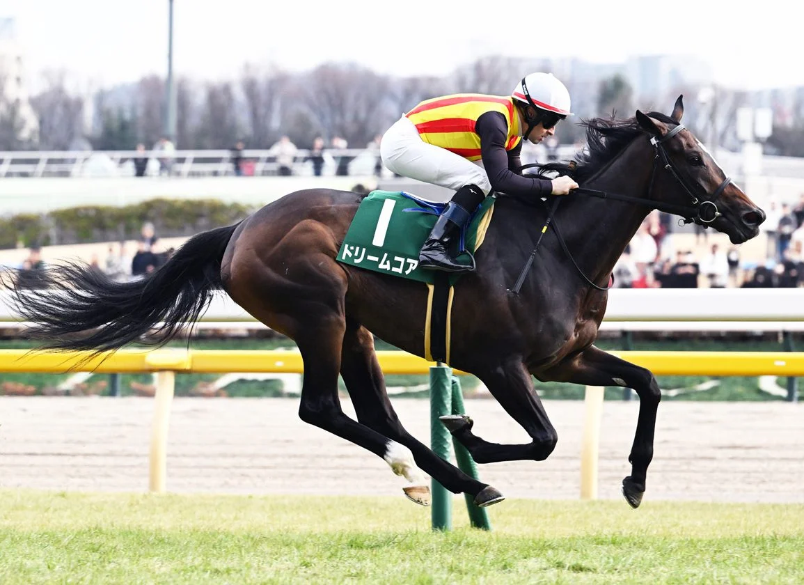 Star Anise Heads Star-Studded Field for G1 Oka Sho as Classic Season Ignites