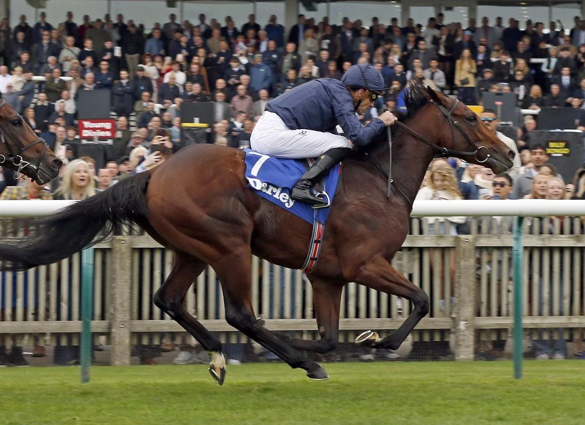 Sunday Racing Previews: Ballylinch Stud Red Rocks Stakes and Oka Sho Headline a Packed Day of International Thoroughbred Action