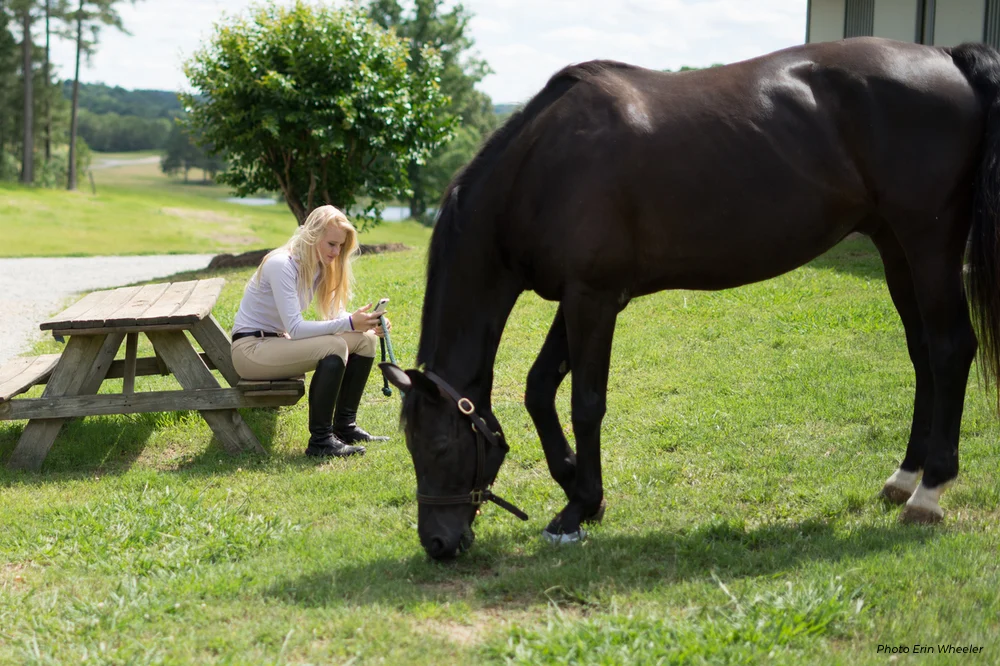 The Pervasive Challenge of Negative Social Dynamics in Equestrian Sport