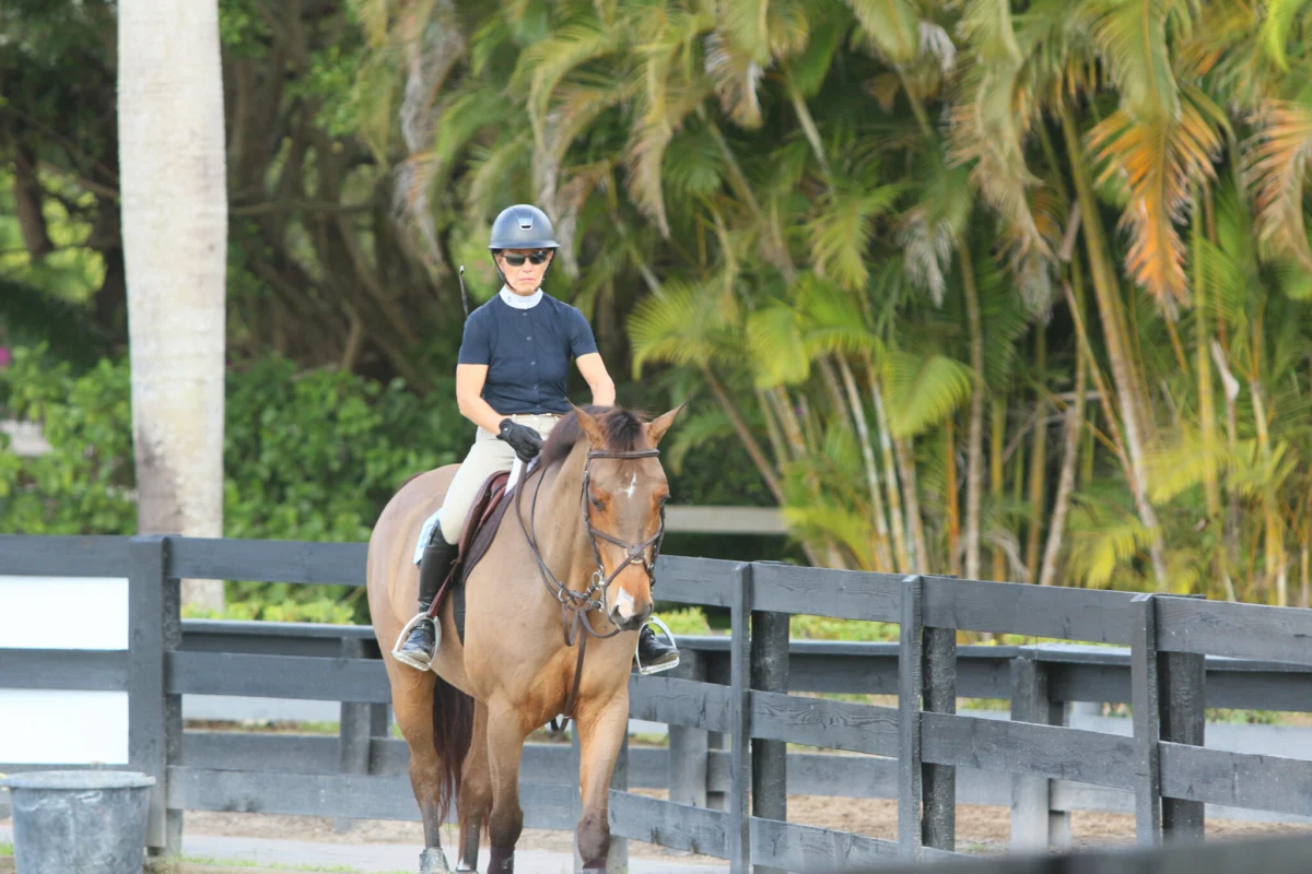 The Quest for Straightness: Mastering Your Horse’s Alignment for Peak Performance