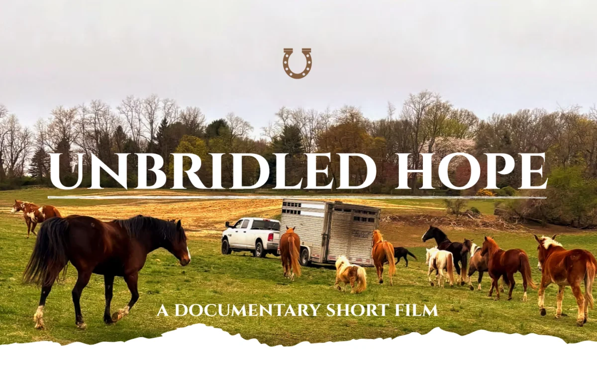 Unbridled Hope: A Documentary Exposing the Tragic Reality of American Horse Auctions and Championing Legislative Change