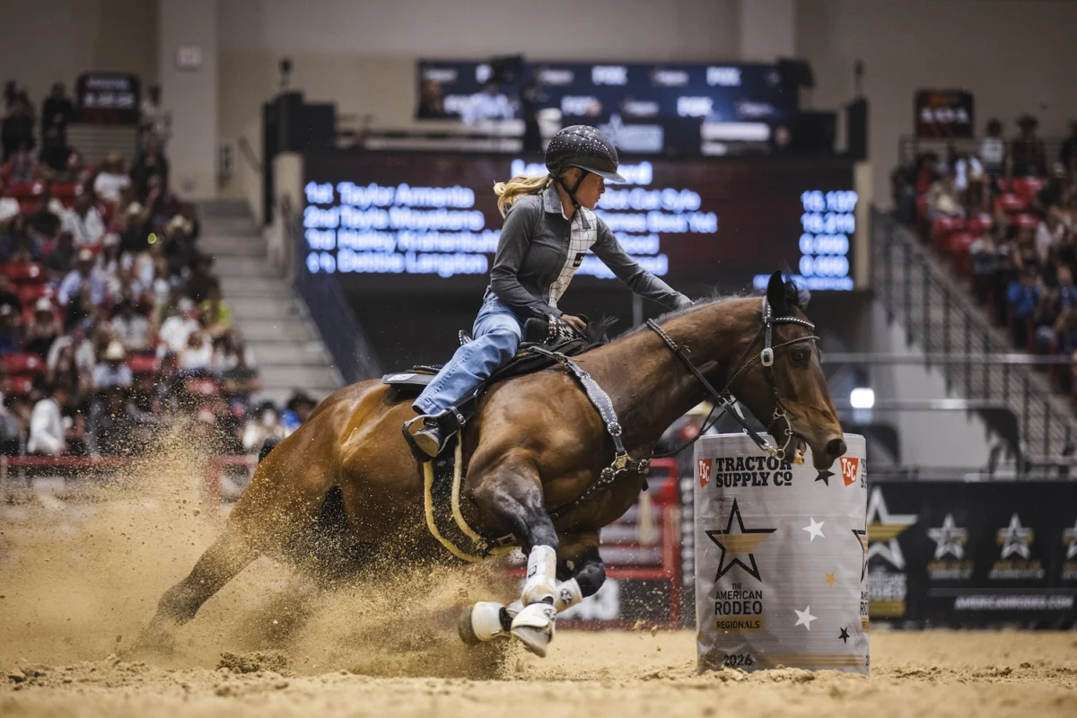 The American Rodeo Barrel Racing Qualifiers and Pathway to Championship Revealed