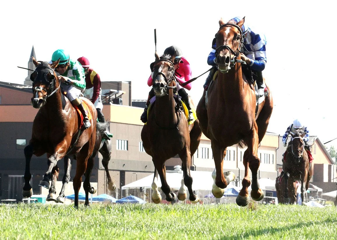 Ada Clare Tops Fasig-Tipton October Digital Sale with $500,000 Bid