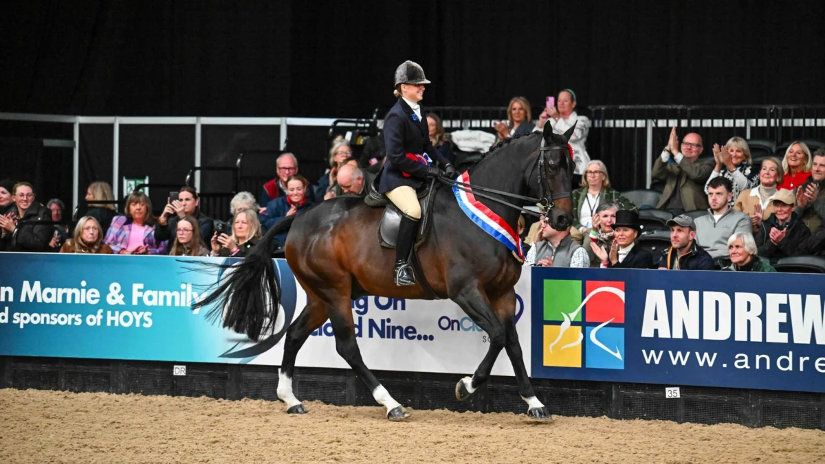 Alice Homer and Tidy Town Crowned Small Show Hunter of the Year at HOYS 2026 After Undefeated Season