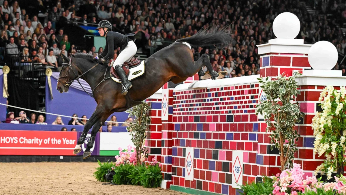 Andrew Hodgins and Rachel Proudley Share HOYS Puissance Title in Thrilling Climax