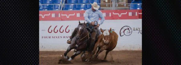 Beyond the Barn: Debunking Mare Stereotypes with Expert Training Insights