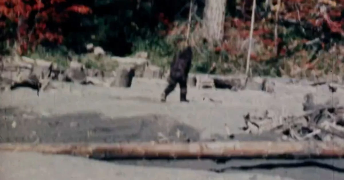 Bigfoot Clip Everyone’s Seen Is Shown to Be Total Fraud After Film Cannister Stored in Safe for Decades Found