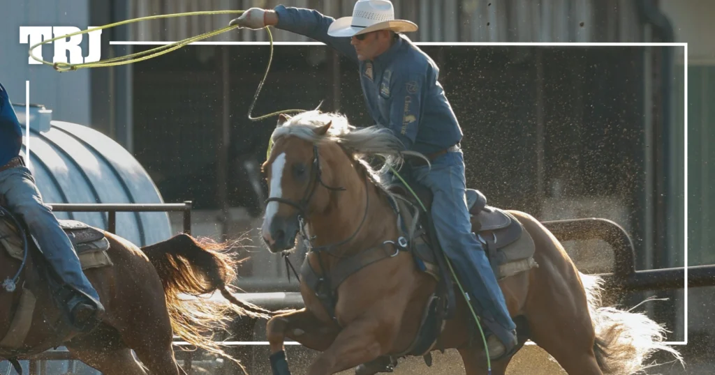 Bigg Smoke: A Palomino Stallion with a Million-Dollar Pedigree and Future at the Old West Horse Sale