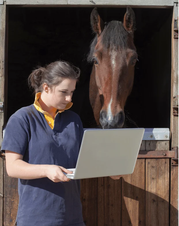 Bridging the Barn and the Byte: How Equine Businesses Are Harnessing Technology for a Modern Era