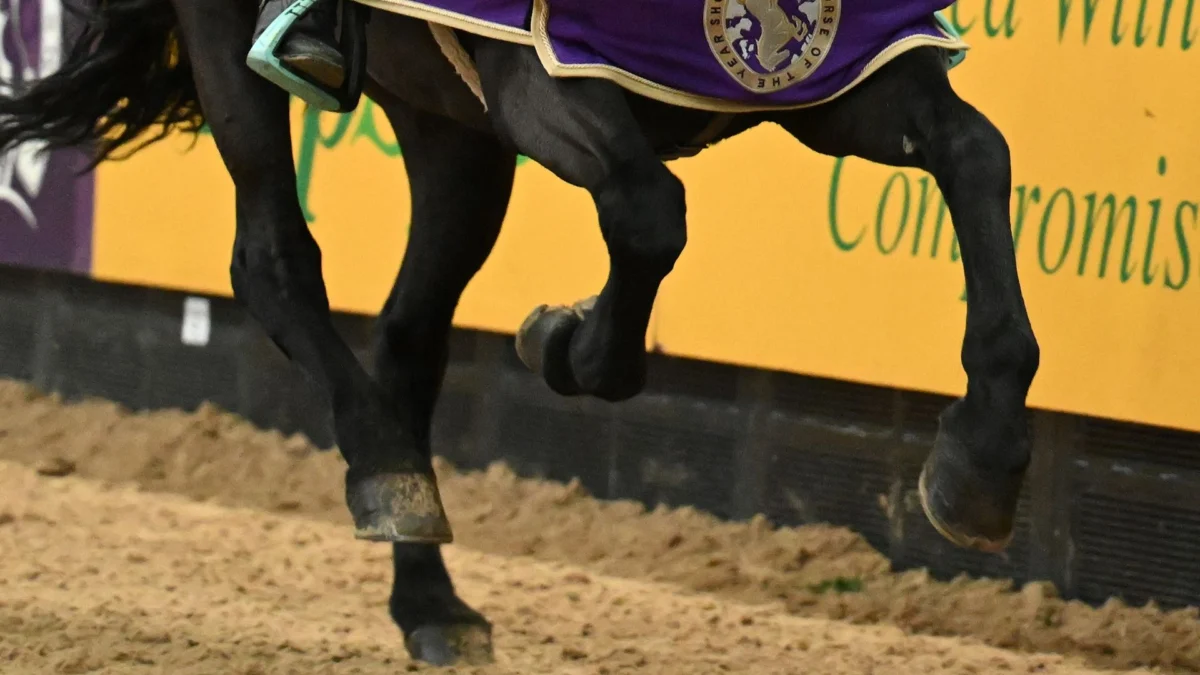 British Showjumping’s Decision to Restrict Under-13s at Major Events Sparks Widespread Debate