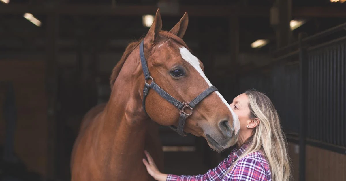 Building Unwavering Customer Trust: The Pillars of a Thriving Equine Business