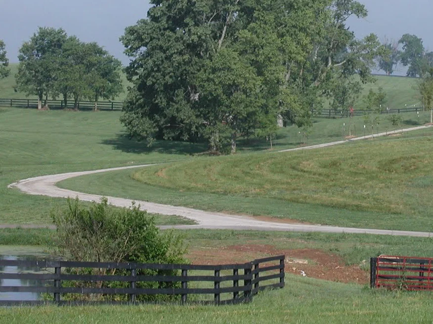 Conquering Mud and Erosion: Strategic Solutions for Horse Farm Management