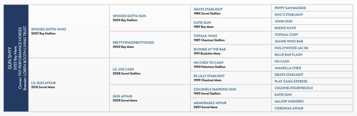 Dakota Kirchenschlager and Gun Shyy Dominate Solo Select Futurity Heeling, Securing Nearly $50,000 in Hamilton, Texas