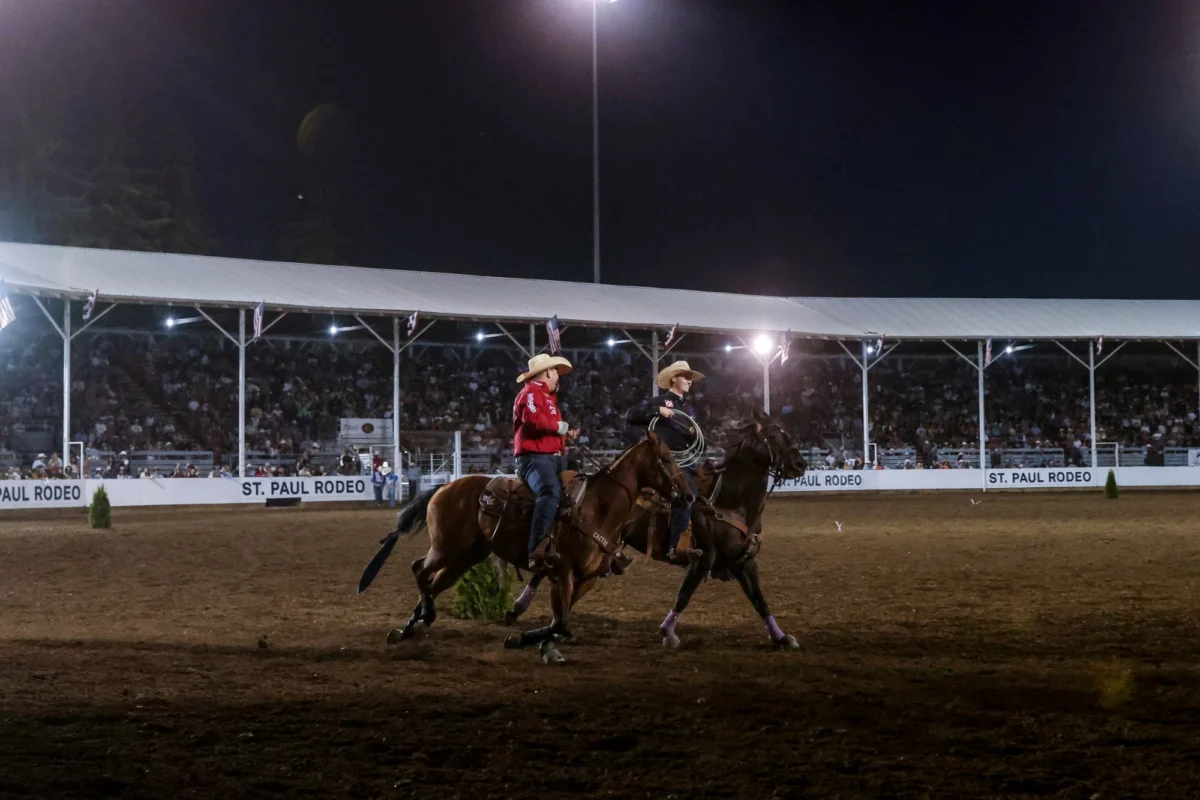 Dashing Company Crowned 2026 Nutrena AQHA Head Horse of the Year After Historic Tiebreaker Vote
