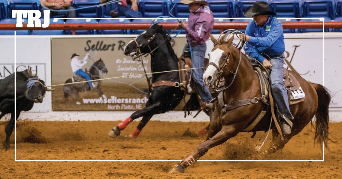 DT Air Jordan: Nine Years On, J.D. Yates Declares Champion Rope Horse Would Still Dominate Today’s Elite Field