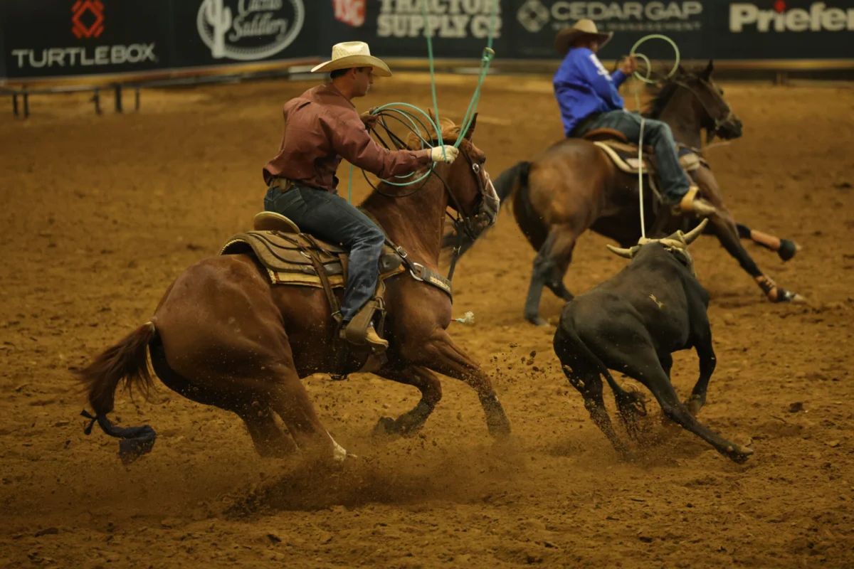 Elite Team Roping Duos Deliver Masterful Performances in Highly Competitive Showdown