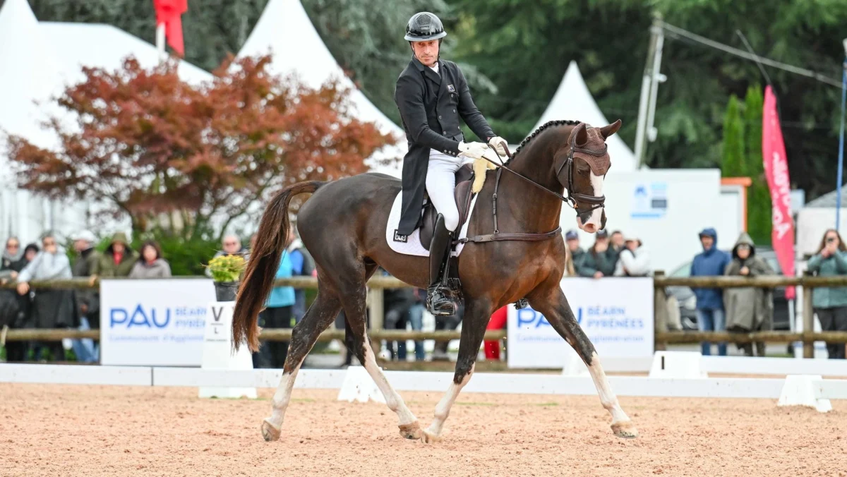Emily King and Valmy Biats Command Pau Horse Trials Dressage with Stellar 24.9 Score.