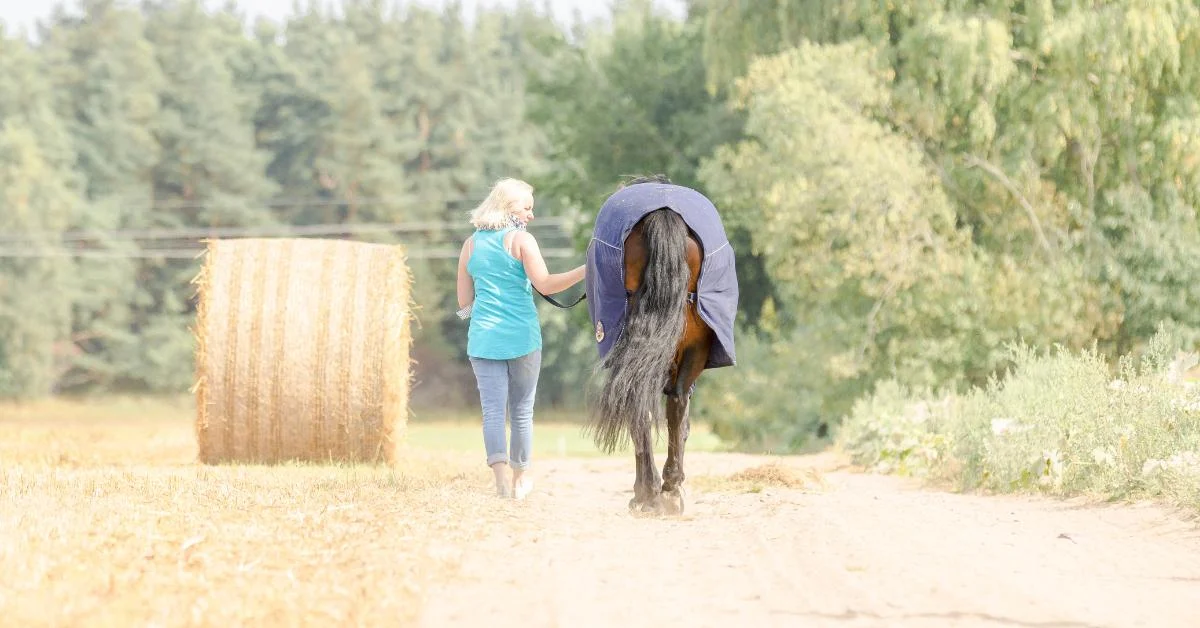 Financial Fitness: The Essential Training for Sustainable Equine Business Success