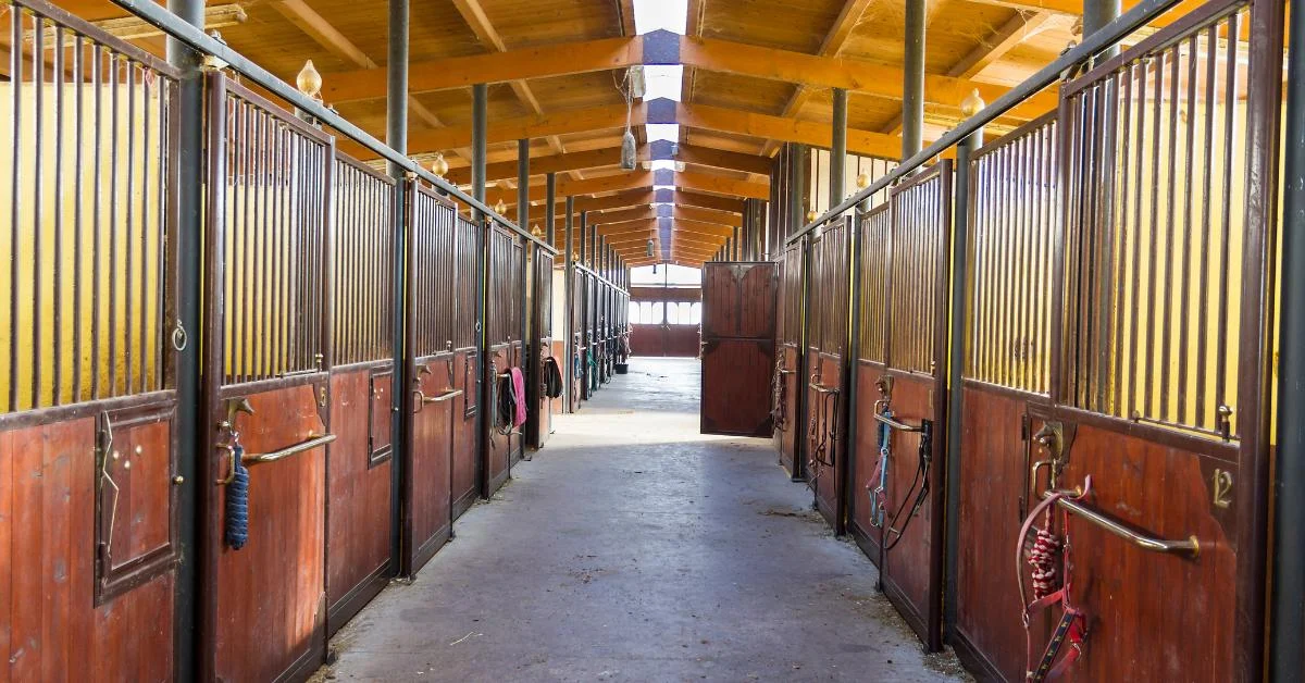 Five Pillars of Equine Business Excellence: Strategies for Growth and Efficiency