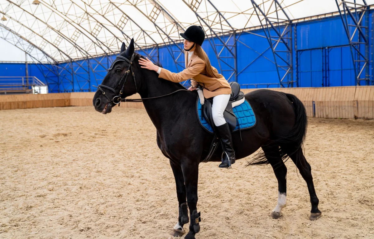 Fourth Level Dressage: The Gateway to International FEI Competition and the Ultimate Test of Partnership