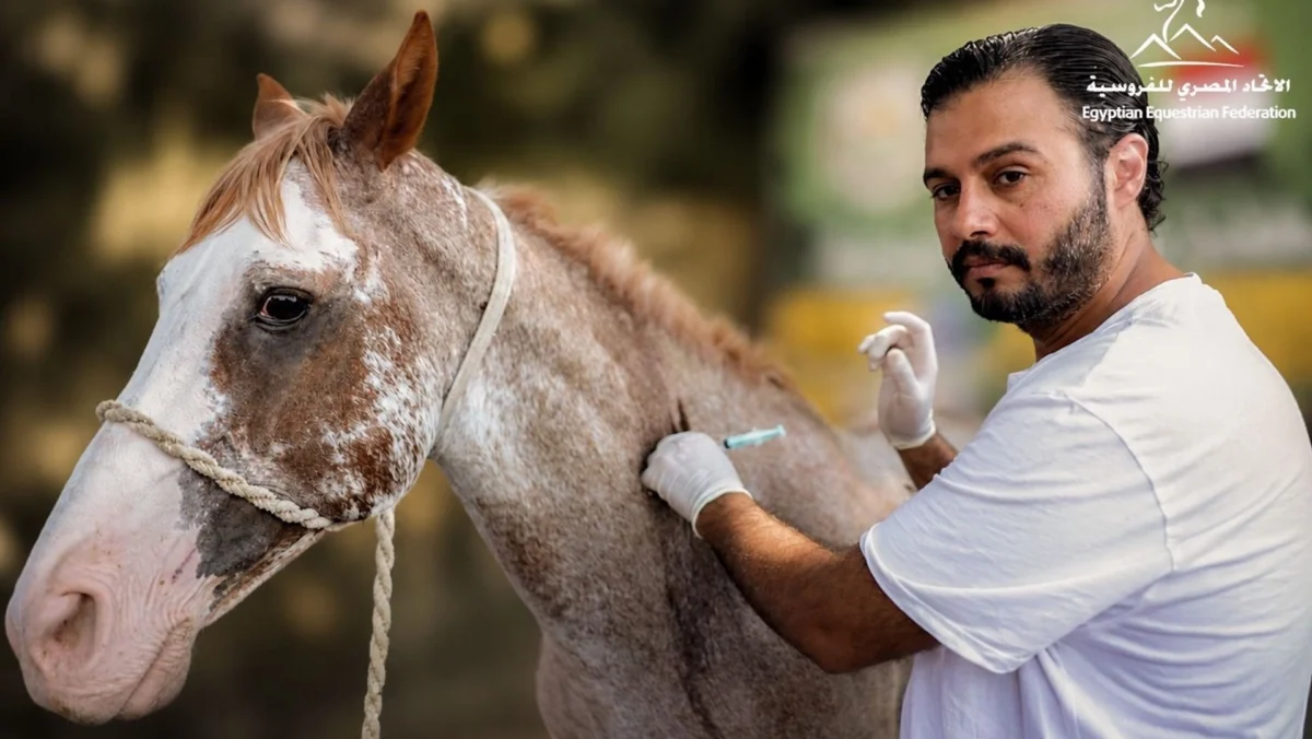 Global Champions Tour Arrival in Cairo Ignites Crucial Conversations on Equine Welfare