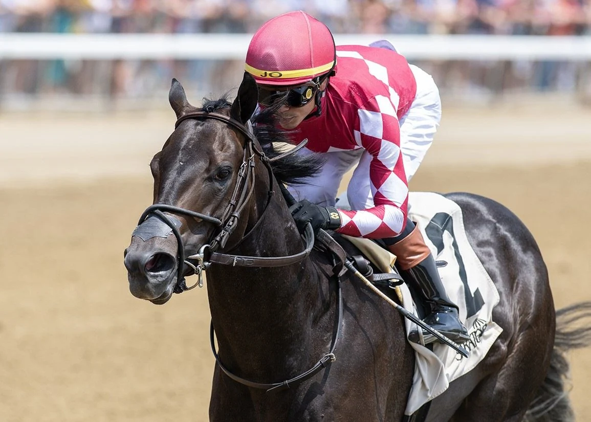 Grade II Winner Ewing Dies After Freak Accident