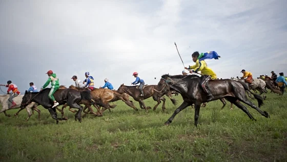 Guinness World Records and the Legacy of Equine Excellence From Ancient Egyptian Stables to the Steppes of Mongolia