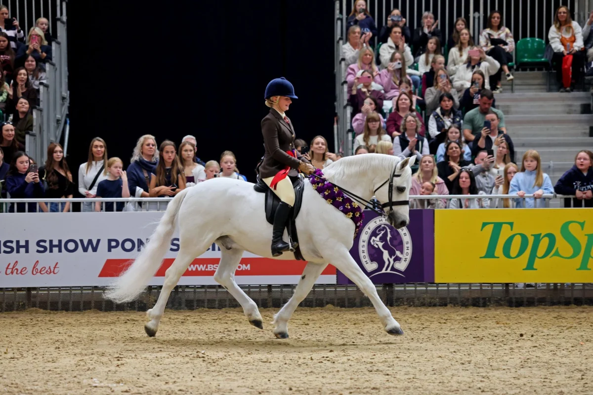 Harlow White and King Bunowen Castle Ali Claim 2026 HOYS Junior M&M Crown in Historic Connemara One-Two Dominance