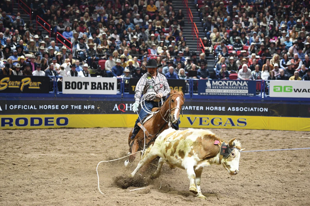 Hezaluckysonofagun, "Copper," Crowned 2026 Nutrena Heel Horse of the Year, Solidifying Jake Long’s Championship Dynasty
