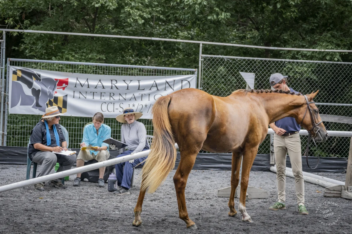 Horse Sport MD Bred to Event Classic Extends Entries for Final Qualifier, Bolstering Young Horse Development