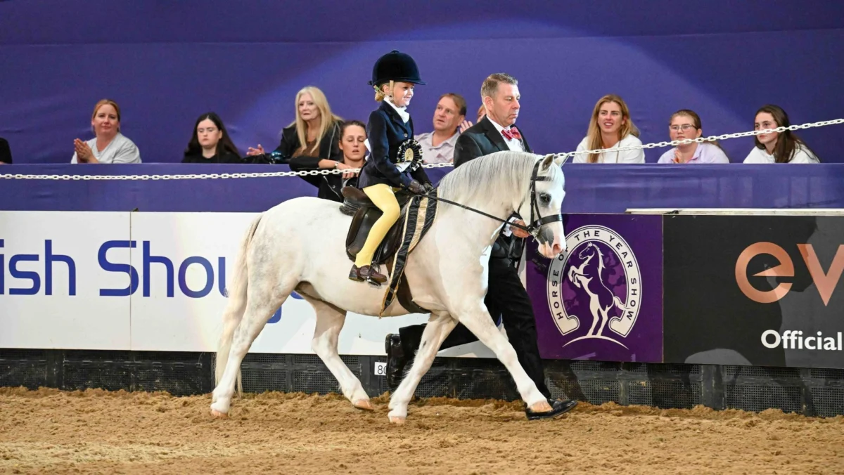 HOYS supreme pony win for young Whitaker with not a fence in sight!