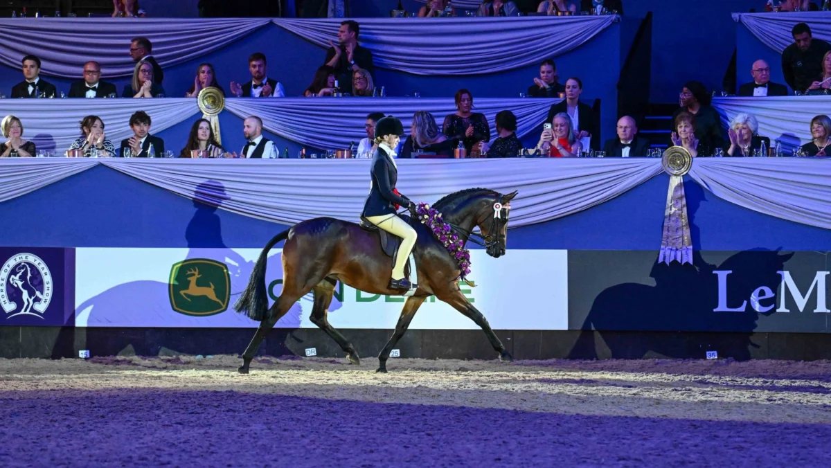 ‘I can’t believe it’: rider takes second HOYS championship in two days