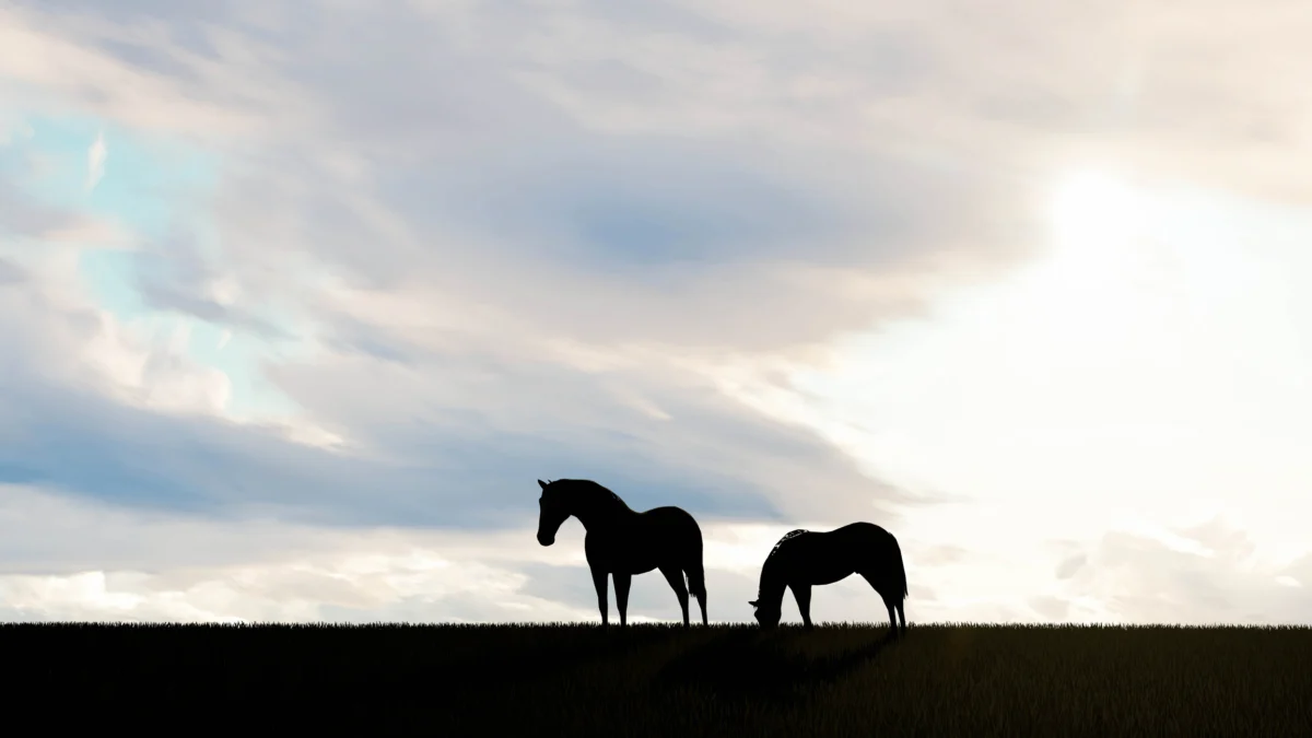 Innovative Veterinary Solution Saves Arthritic Mare from Treacherous Mud Trap in Heartwarming Rescue