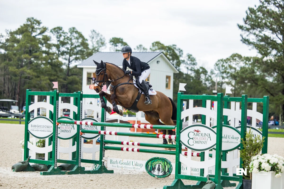 Irish Sport Horse Breeding Triumphs as Justin Burke Named WBFSH Eventing Breeder of the Year 2026, Cementing Ireland’s Top Studbook Status