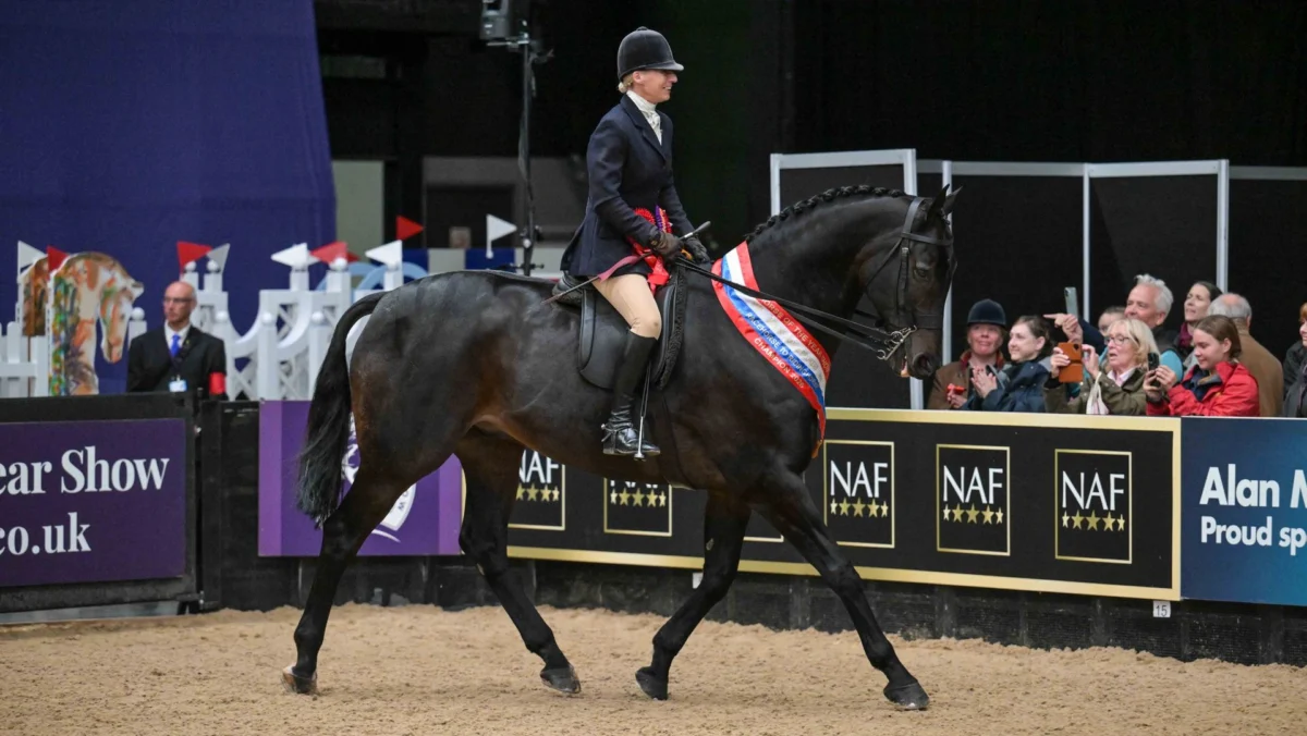 &lsquo;It feels quite surreal&rsquo;: former racehorse lands owner’s first HOYS win