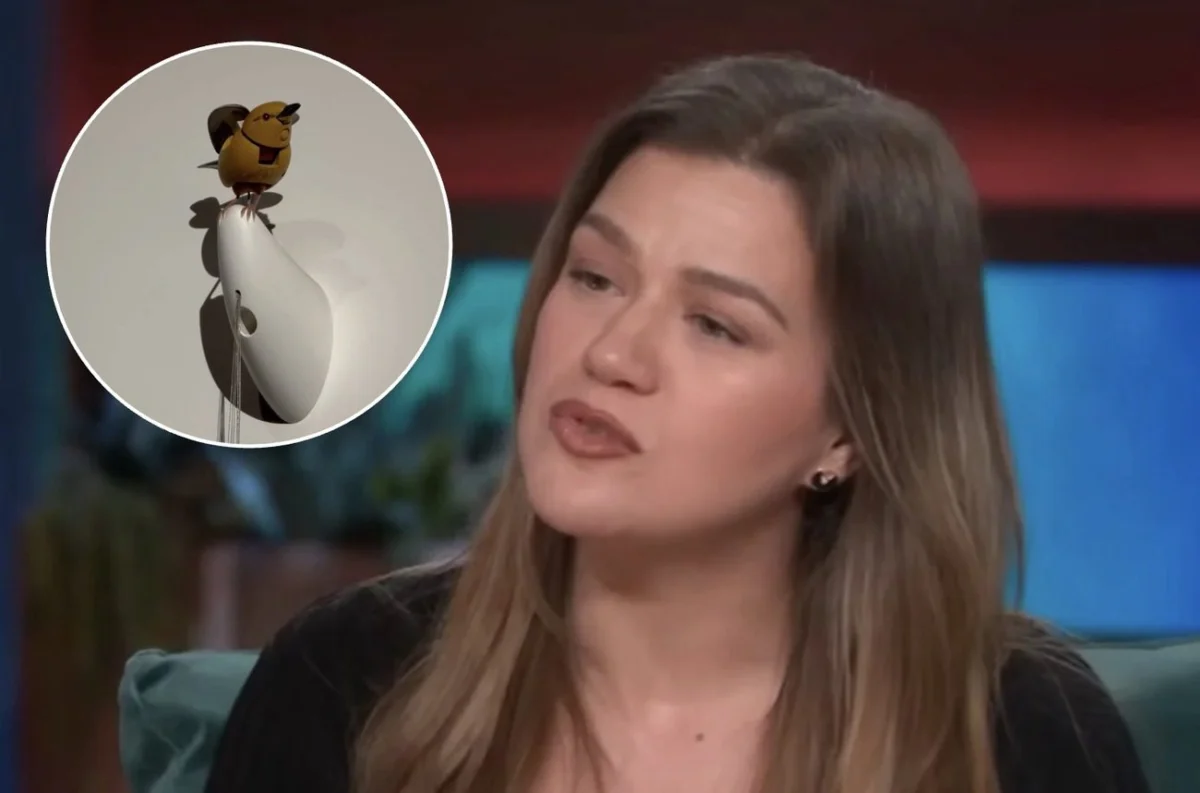 Kelly Clarkson and Brooklyn Boutique Art of Play Engage in High Profile Social Media Dispute Over Alleged Pretty Woman Treatment