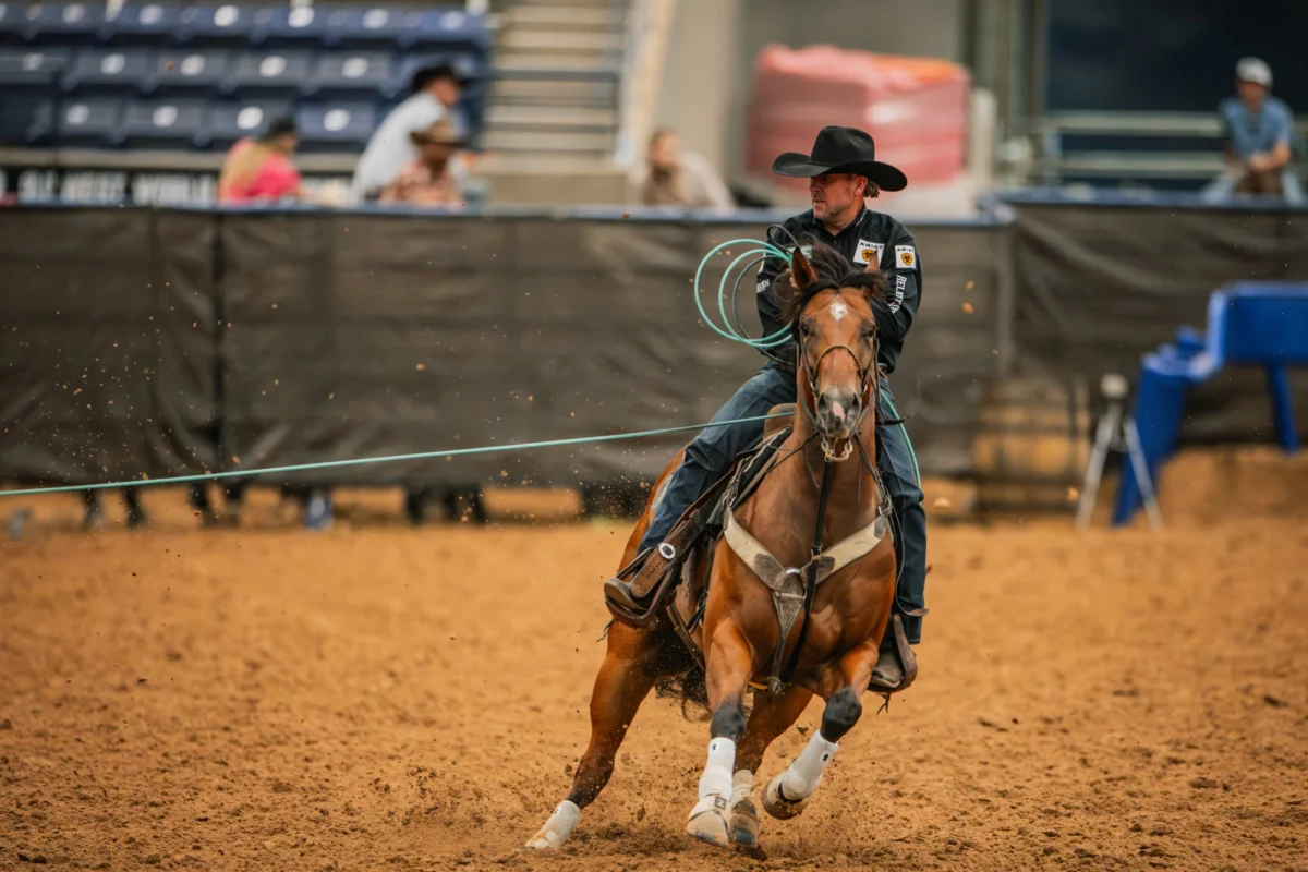 Kiri, a Tres Seis Daughter, Leads Old West 4-& Under Heading, Signifying a Major Shift in Sire’s Roping Legacy
