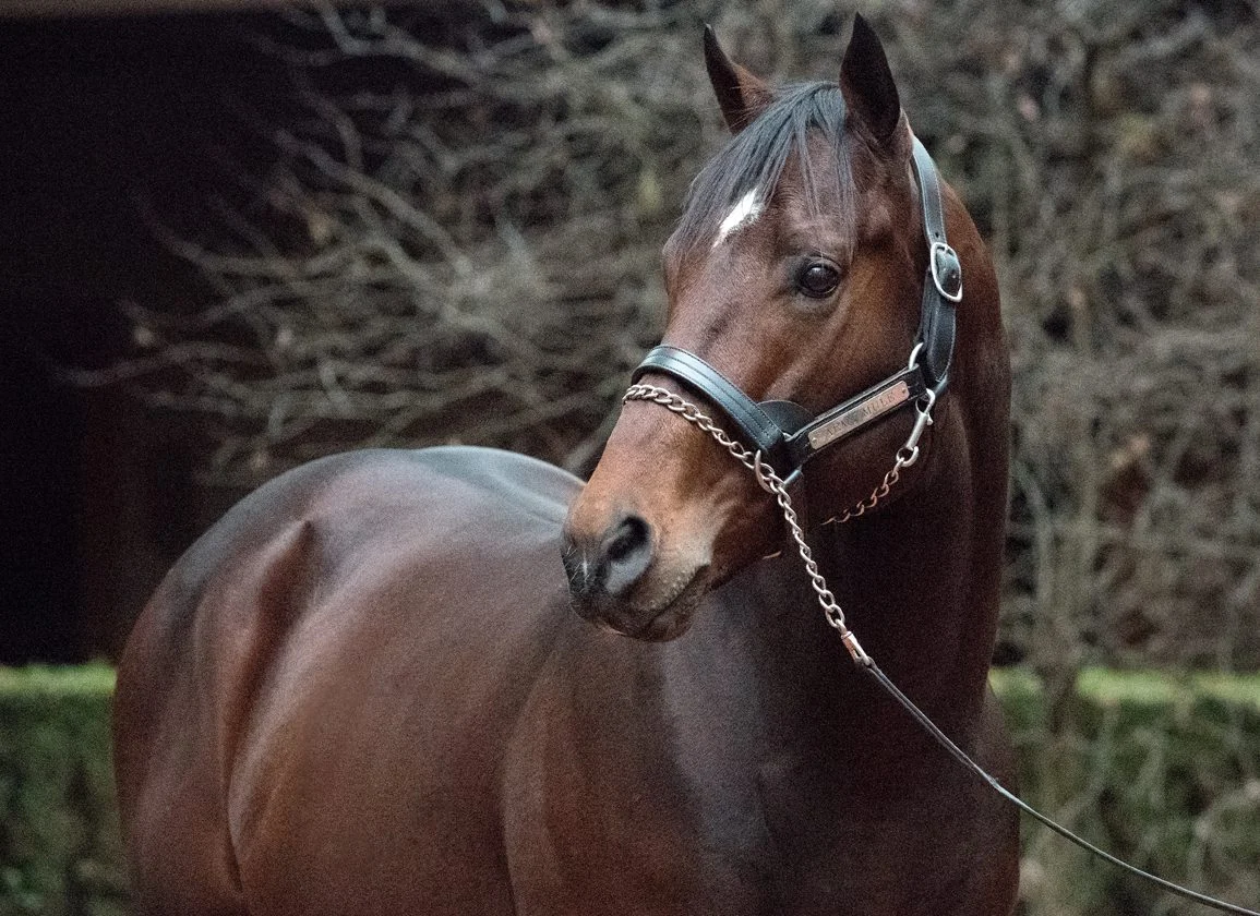 Lamirada Dominates Glorious Song Stakes, Reaffirming Her Potential as a Top Two-Year-Old Filly