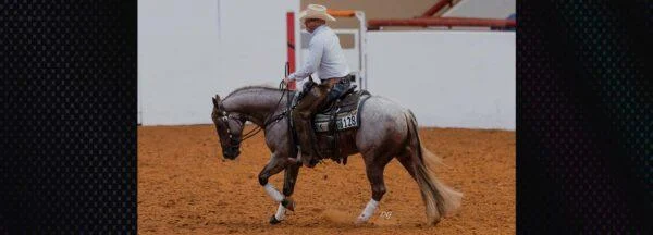 Mastering the Art of the Lead Departure: A Refined Approach to Equine Partnership