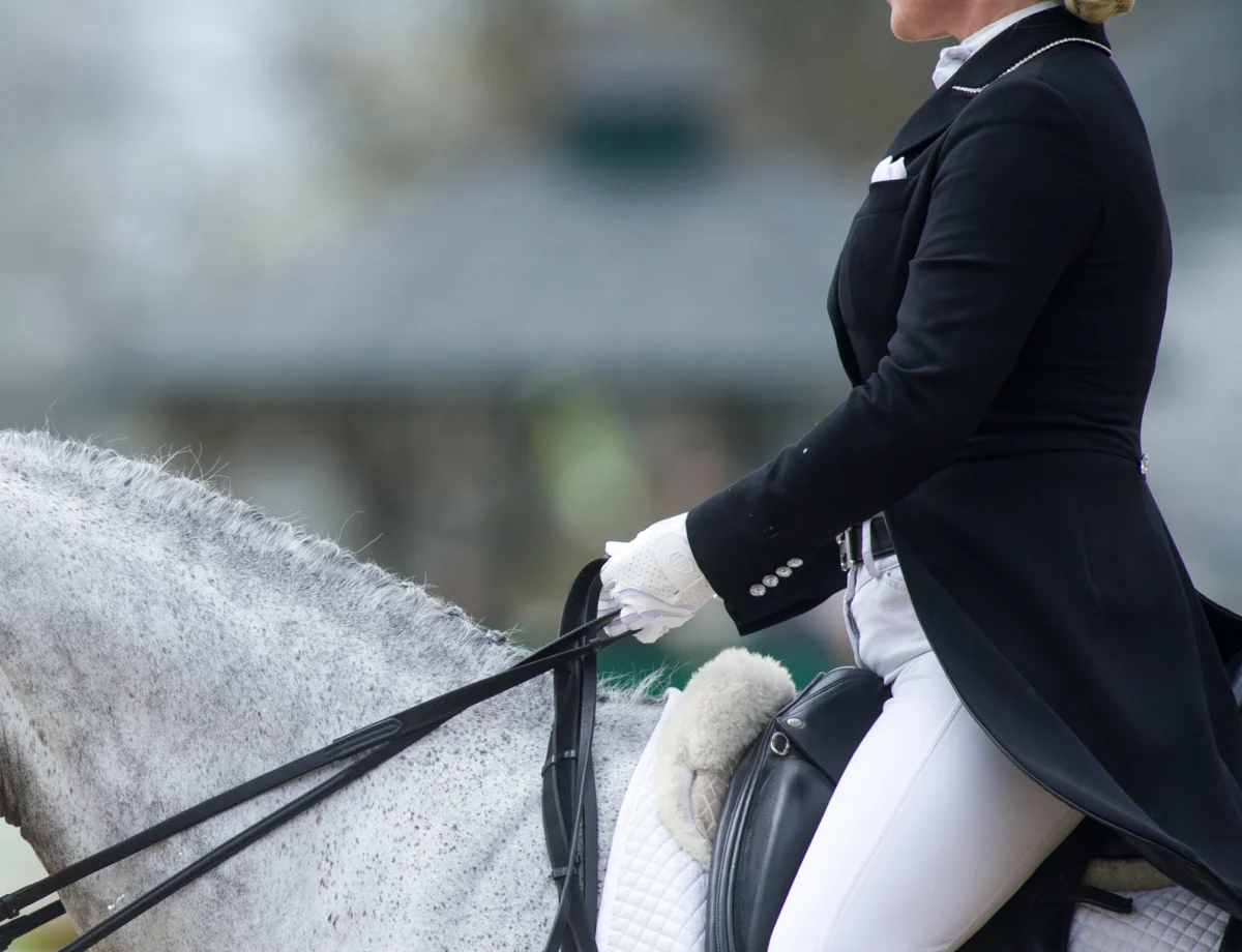 Mastering the Elusive Art of Correct Contact in Dressage Riding