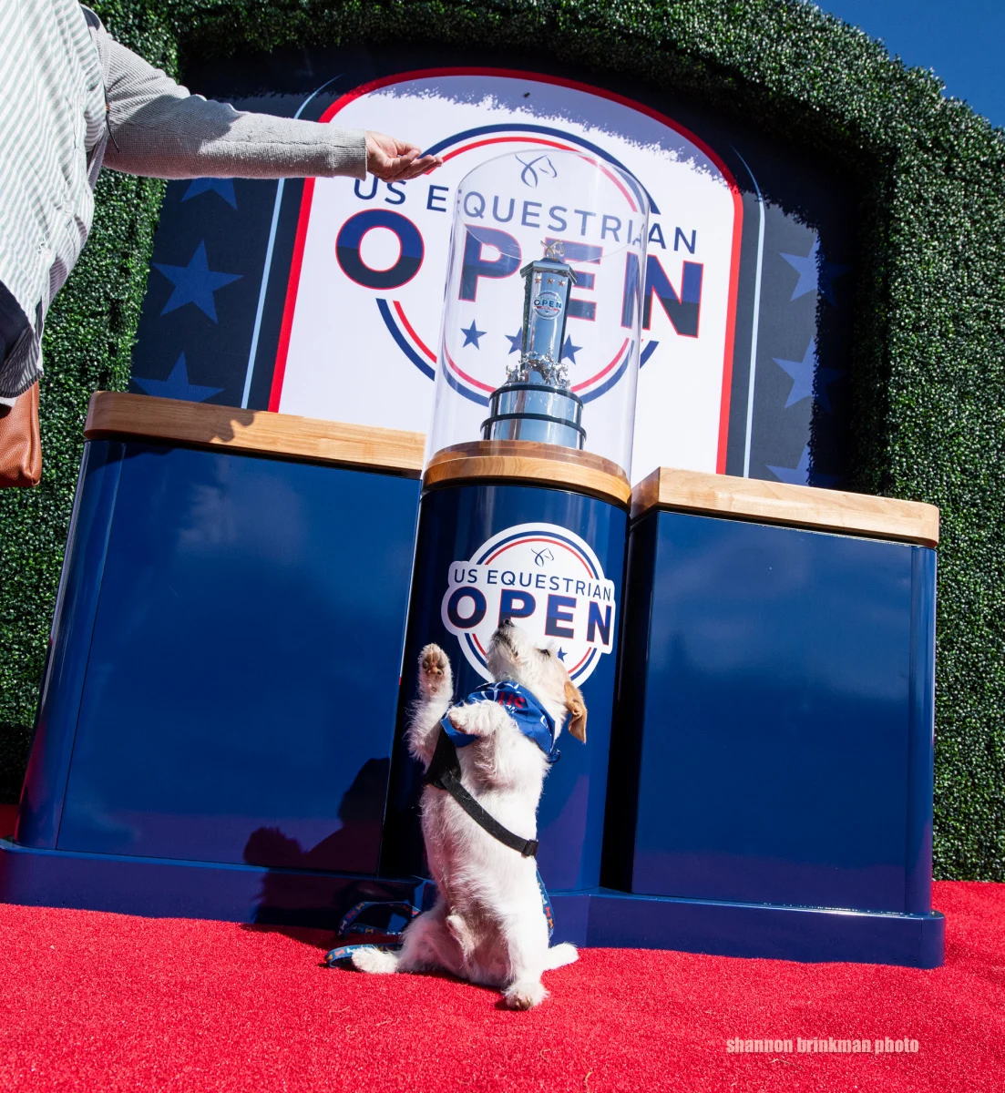 Morven Park International and $200,000 US Equestrian Open of Eventing Final Kicks Off with First Horse Inspection