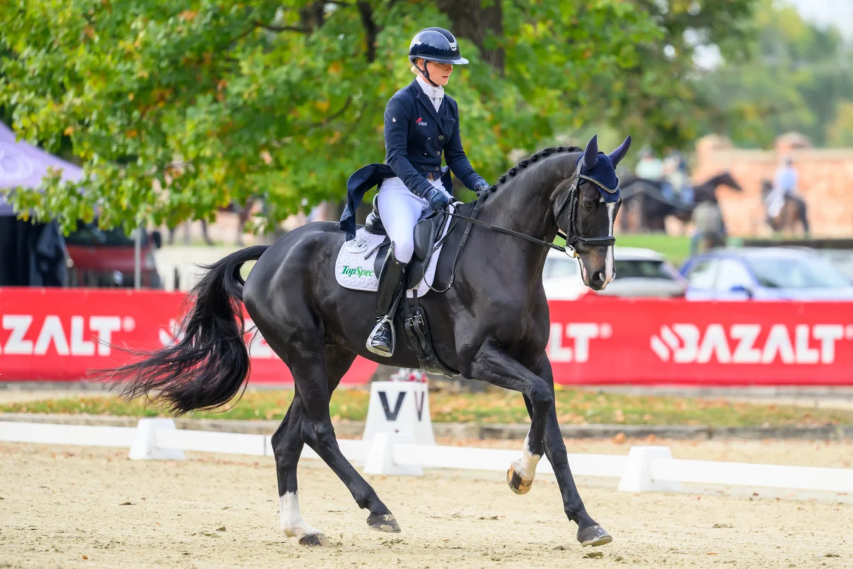 Morven Park International Equestrian Center Kicks Off Day Two of US Equestrian Open of Eventing Final with Anticipated Leaderboard Shifts