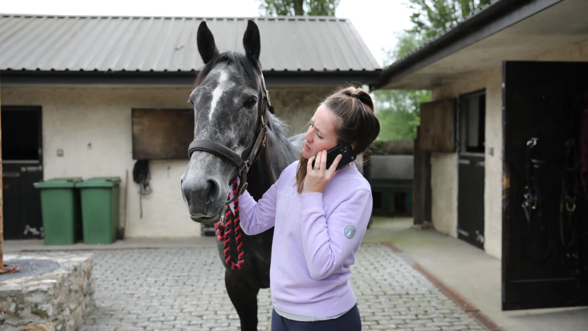 Navigating Equine Health Emergencies: A Comprehensive Guide to When to Call the Veterinarian